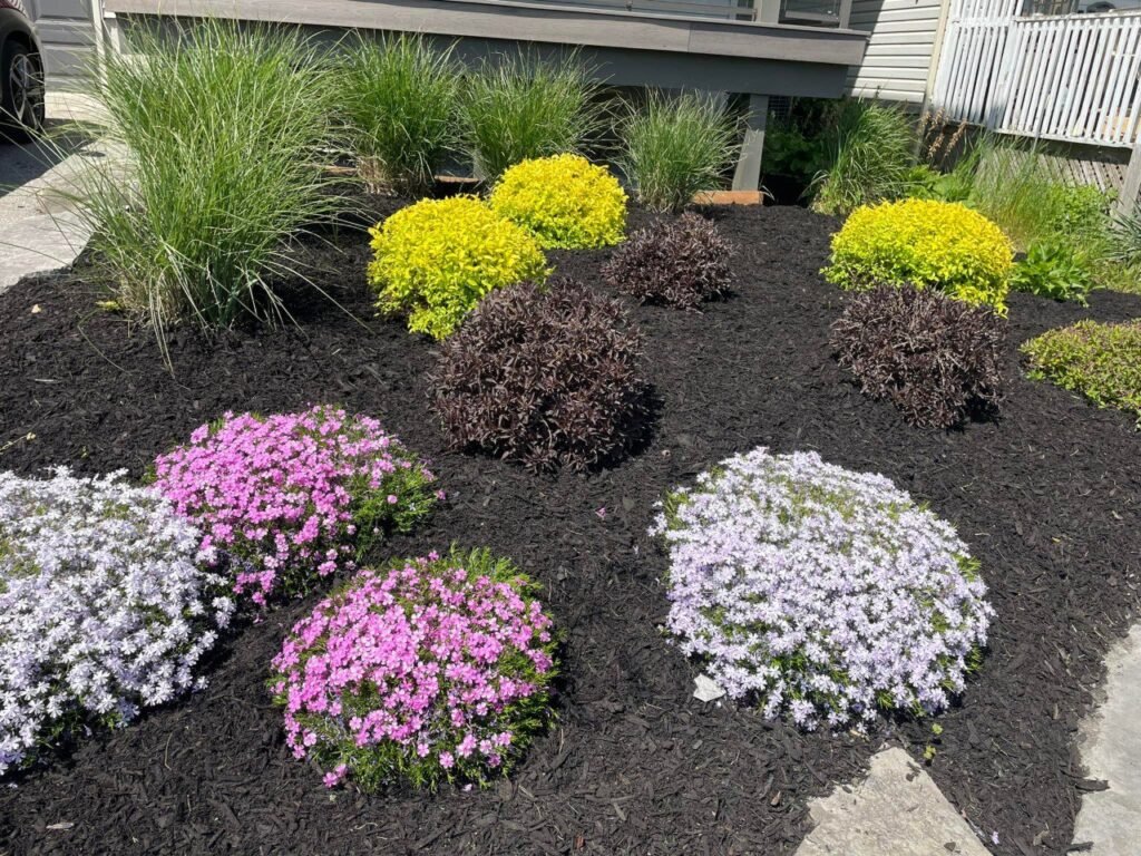 photo 2025 09 23 19 55 08