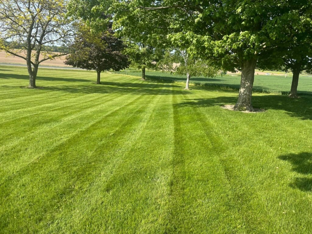 photo 2025 09 23 19 55 12 photo 2025 09 23 19 55 12